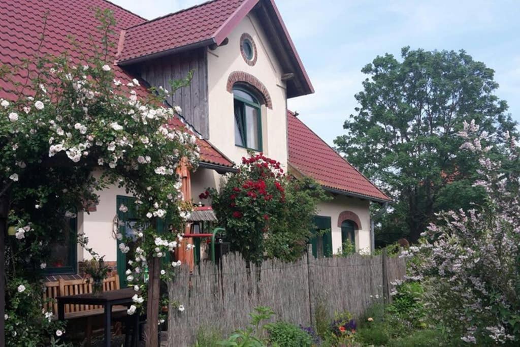Entspannen Im Dorf Am See Zahren 외부 사진